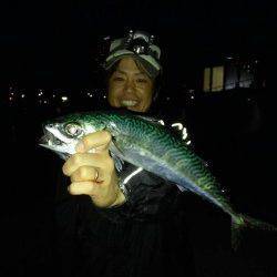 アジュールの大サバシーズン到来！ 今年初の大サバを釣り上げました