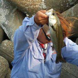 石津にてエビ撒き釣り〜セイゴ・アナハゼ・アブラメ