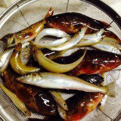 島陰にて磯遊び♪ ロックフィッシング＆投げ釣りも楽しみました