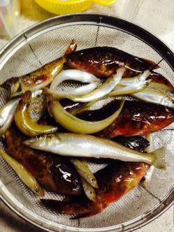 島陰にて磯遊び♪ ロックフィッシング＆投げ…