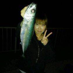 大蔵海岸ウキ釣りで2匹、引き釣りで1匹のサバ〜まだまだ狙えます！