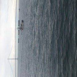 明石港　投げ＆探り釣りで、魚種多彩に楽しめる