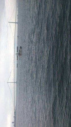 明石港　投げ＆探り釣りで、魚種多彩に楽しめる