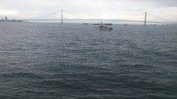 明石港　投げ＆探り釣りで、魚種多彩に楽しめる