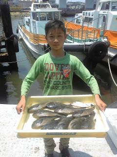 オキアミ・イシゴカイを使った浮き釣りでグレ…