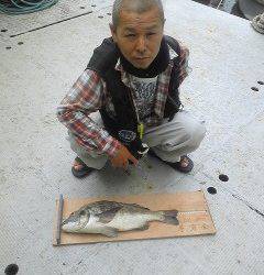 沖一文字1番にて落とし込みでチヌ52cm