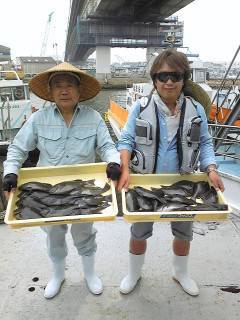 岸和田一文字の梅雨グレ釣果
