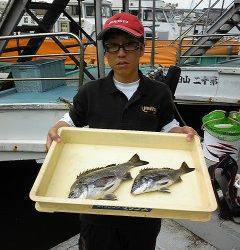 岸和田沖一文字　紀州釣り釣果　チヌ〜37cm