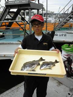 岸和田沖一文字　紀州釣り釣果　チヌ〜37cm