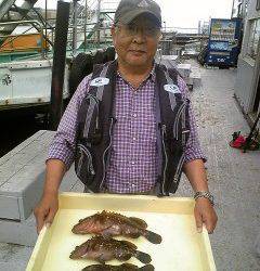 旧一文字赤灯にて良型アコウが好調です