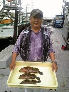 旧一文字赤灯にて良型アコウが好調です