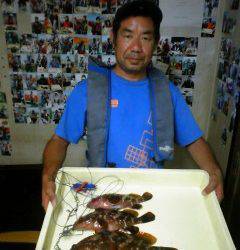 旧一文字赤灯にて良型アコウが好調です