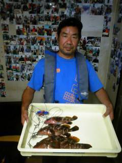 旧一文字赤灯にて良型アコウが好調です