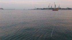 兵突でちょい投げ〜キス狙いでしたが釣れたのはガッシー3兄弟