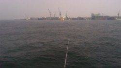 仕事終わりに1時間ほど釣りでリフレッシュ　兵庫突堤の投げ釣り