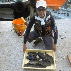 岸和田一文字　フカセ・紀州釣りでグレの釣果あり