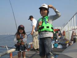 尼崎市魚つり公園　サビキのカタクチイワシ継…