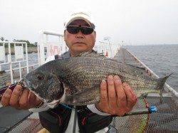 尼崎市立魚つり公園〜エビ撒きウキ釣りでハネ・落とし込みでチヌ
