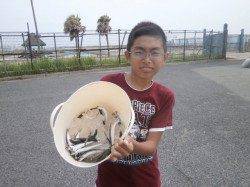 大阪南港魚つり園 風強く悪条件でも全体にイワシ回って釣果あり