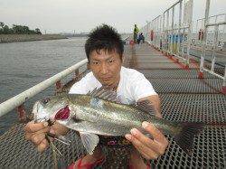 尼崎魚つり公園 午後からの雨でチヌの活性上がり連続HIT！