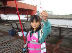 尼崎魚つり公園サビキでイワシ、ほか落とし込…