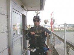 南港海釣り公園　写真のチヌの他にイワシ・アジも