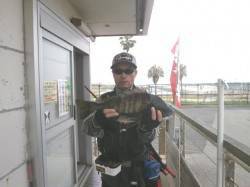 南港海釣り公園　写真のチヌの他にイワシ・ア…