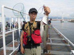 20cmのウミタナゴにハネ 尼崎市立魚つり公園