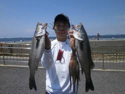 絶好の釣り日和！ガシラにタコにハネ！