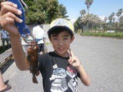 絶好の釣り日和!ガシラにタコにハネ!