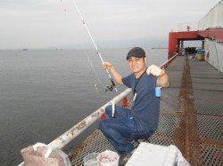 尼崎市立魚つり公園 落とし込みでチヌ3枚