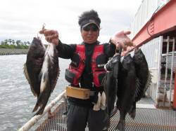 尼崎市立魚つり公園　イガイの落とし込みでチ…