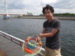 尼崎市立魚つり公園　イガイの落とし込みでチヌ〜50.5cm5枚