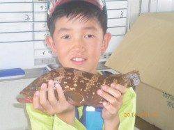 姫路市立遊漁センター アコウの釣果も出ています