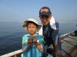 尼崎市魚つり公園　サビキでイワシ・サッパの釣果