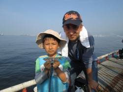 尼崎市魚つり公園　サビキでイワシ・サッパの…