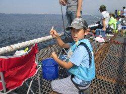 尼崎市魚つり公園　サビキでイワシ・サッパの釣果