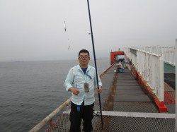 尼崎市立魚つり公園 サビキでイワシが4連!