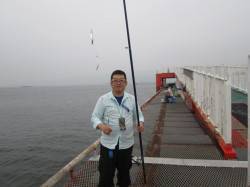 尼崎市立魚つり公園  サビキでイワシが４連…