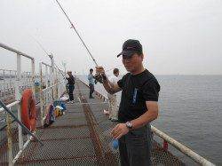 尼崎市立魚つり公園 サビキでイワシが4連!