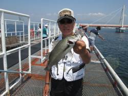 尼崎市立魚つり公園　渋い状況の中ハネをキャ…