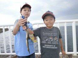 サビキは厳しいですが、イイサイズのガシラが釣れました