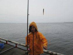 尼崎市立魚つり公園、朝夕のチヌは期待出来ます