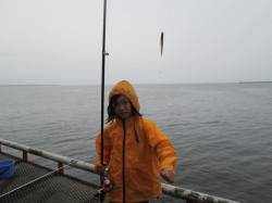 尼崎市立魚つり公園、朝夕のチヌは期待出来ま…