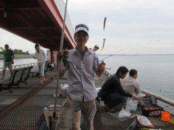 尼崎市立魚つり公園で40cmの大サバ〜引きが強く楽しいです♪