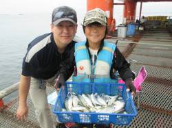 サビキ釣りでサッパ釣れ続けています　尼崎市…