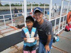 尼崎市魚つり公園　サッパ・イワシの他ハネも