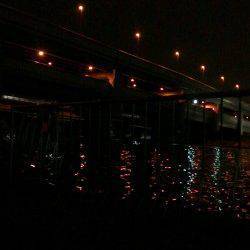 武庫川でウナギ釣り〜今年はキビレ多いのかよく当たります