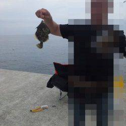 炬口でカゴ釣り　イイ型のアジが釣れました