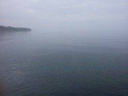 淡輪漁港でエギング〜開始3投目でアオリイカ